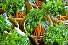 CSA: Share the harvest!