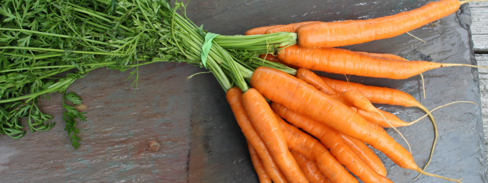 slim carrot