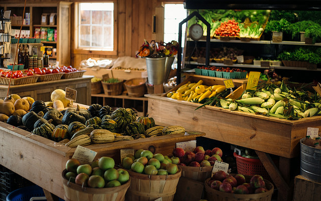 Farmstand & Greenhouses - Vermont Organic Farm | Cedar Circle Farm & Education Center
