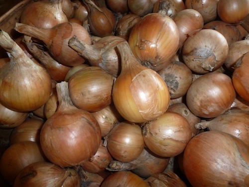 Onions and Garlic: Storage Tips - Vermont Organic Farm ...